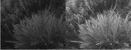 ルックアップテーブル（LUT）について