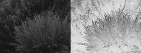 ルックアップテーブル（LUT）について
