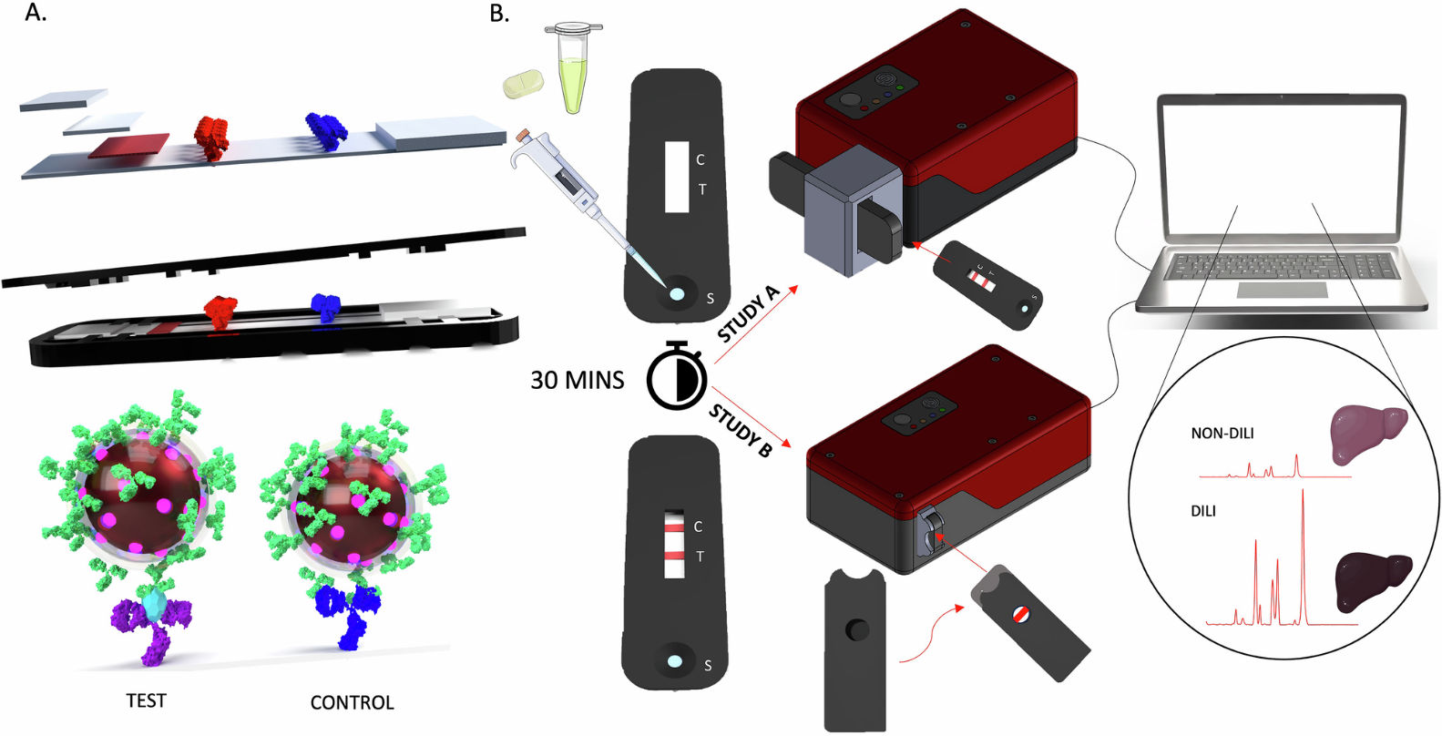ラマン分光 × LFIA で「現場即診断」を実現 ― 薬物性肝障害(DILI)の迅速スクリーニングに成功
